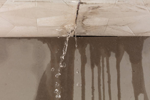 Professional Structural Drying technician working in Miami, WV